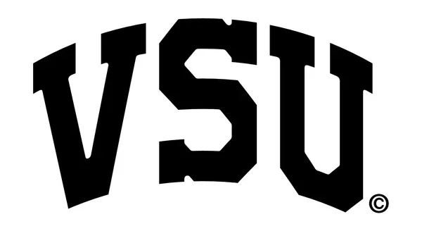 VSF logo in black on a white background